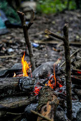 Cooking fire for camping, Friends Camping Eating Food Concept