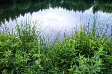 Beautiful pond in park on summer day