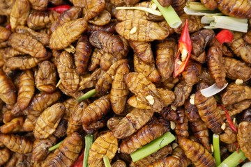 fried silkworms