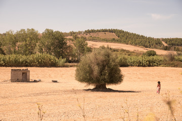sardinian summer