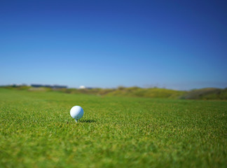 Links golf course and ball  