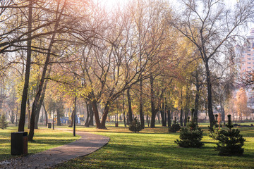 View of autumn park