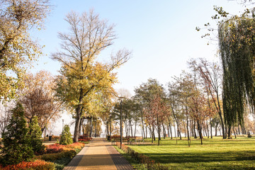 View of autumn park