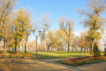 Fototapeta premium View of autumn park