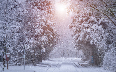 Train tracks in winter forest