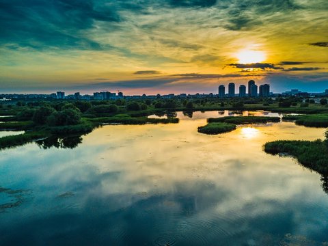 Vacaresti Delta - Bucharest Romania 