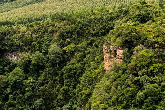 Karkloof Falls Gorge.