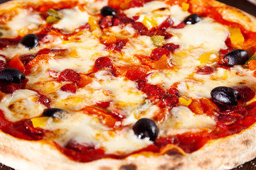 Close up view on pizza with. Cheese, herbs and spices. italian food. Traditional italian cuisine set. Picture for recipe. Copy space for text logo or brand.