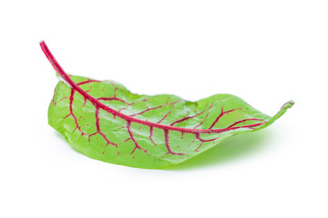 fresh beet leaf isolated on white background