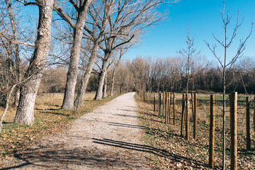 Lonely country road at Autumn a sunny day