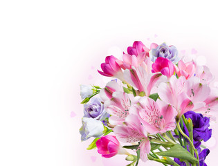 Obraz na płótnie Canvas Spring flower isolated on white background