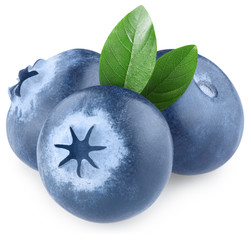 Ripe blueberries with green leaves, isolated on white background