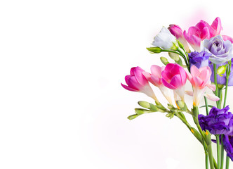 Spring flower isolated on white background. 