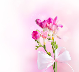 Obraz na płótnie Canvas Spring flower isolated on white background. Valentine day 