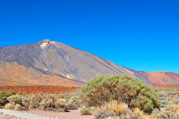 Volcanic landscape of the volcano Teide Valley on Tenerife Canary Islands Spain 