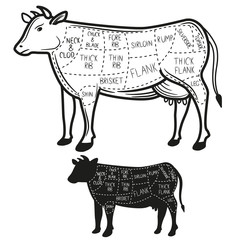 Set of british cuts of beef diagram. Vector illustration.