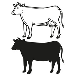 Set of silhouettes of cows. Black and white. Vecor illustration.