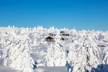 Winter landscape with snow and blue sky in Trysil mountain Norway