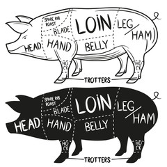 British cuts of pork. Vector illustration.