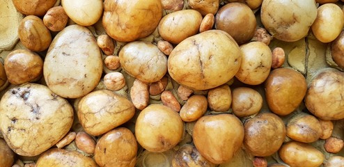 Big yellow pebble or gravel wall for background - Art wallpaper, Abstract background, Design and Decoration concept