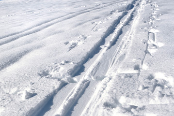 Fototapeta na wymiar tracks of ski touring on the snow 