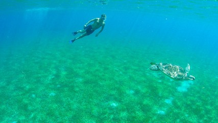 Fototapeta na wymiar sea turtle and dive 