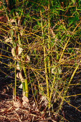 Beautiful scenery of nature