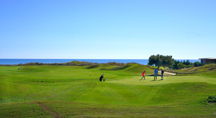 Links golf course and ball  