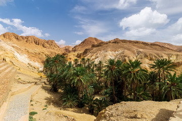 Landscape of oasis in the canyon in stone desert.