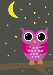 Alone Owl in the Night on Bough