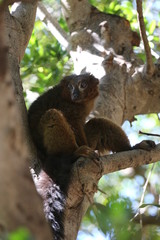 fotografias de animales varios 
