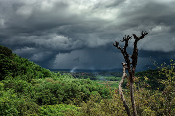 Summer tropical landscape before storm