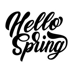 Hello Spring hand written brush lettering, script calligrapy isolated on white background. Vector type illustration.