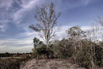 Beautiful scenery of nature