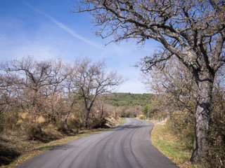 Autumn landscape of the Tuscany seen from asphalt roads in october italy montevarchi chianti