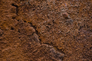Strukturen in Rost
