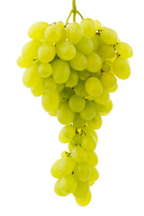 Single bunch of grapes