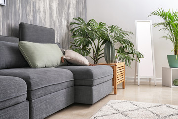 Stylish interior of living room with comfortable grey sofa