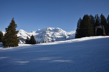 Fototapeta na wymiar Pistes glacées de l'Oberland bernois, Suisse