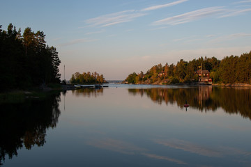 reflection of trees in lake