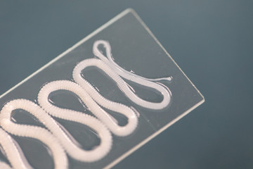 The study of Tapeworm infection is caused by ingesting food or water contaminated with tapeworm...