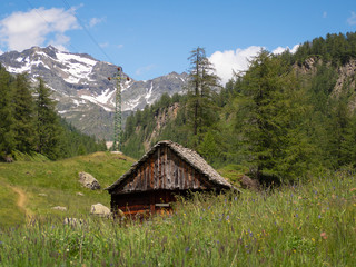 Hidden cabin in a valley