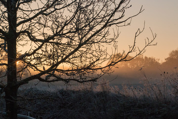 Cold and frosty morning