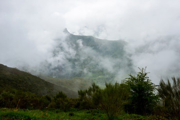 Picos de Europa