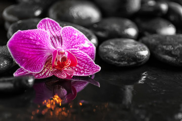 Beautiful flower and spa stones on dark background