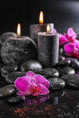 Naklejka na ściany i meble Candles, flowers and spa stones on dark background