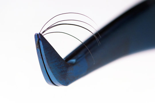 Tweezers holds eyelashes close-up. Macro on white background. Eyelash extension