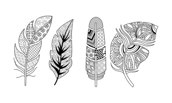 Artistically drawn feathers set, vintage, tribal, stylized feathers, pattern for coloring page vector Illustration on a white background