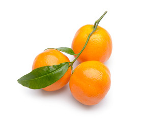 Tasty juicy tangerines on white background