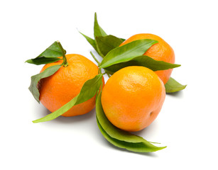 Tasty juicy tangerines on white background